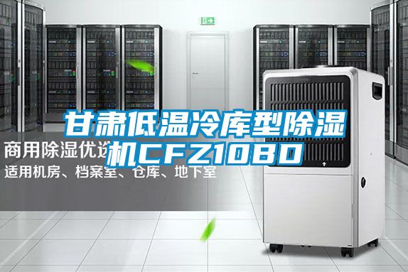 甘肅低溫冷庫型除濕機CFZ10BD