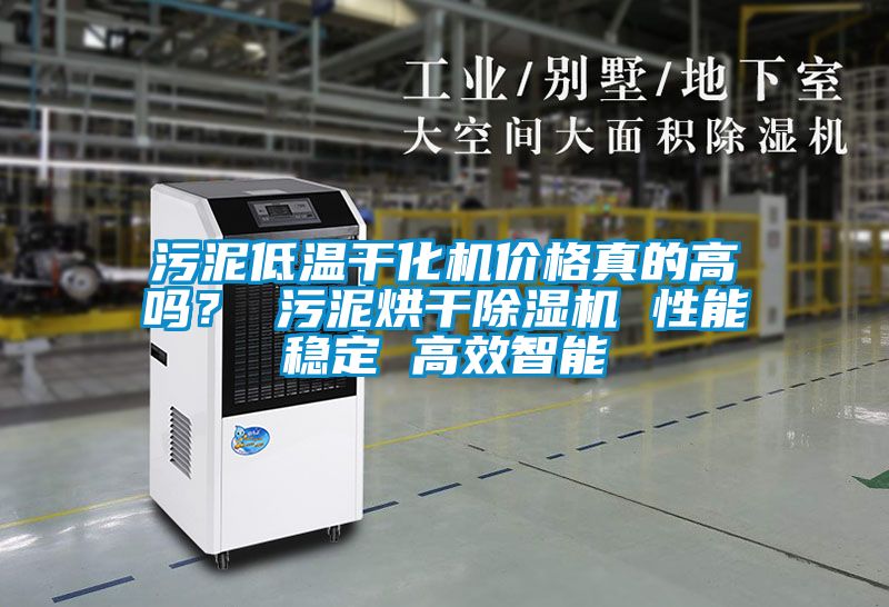 污泥低溫干化機價格真的高嗎？ 污泥烘干除濕機 性能穩(wěn)定 高效智能