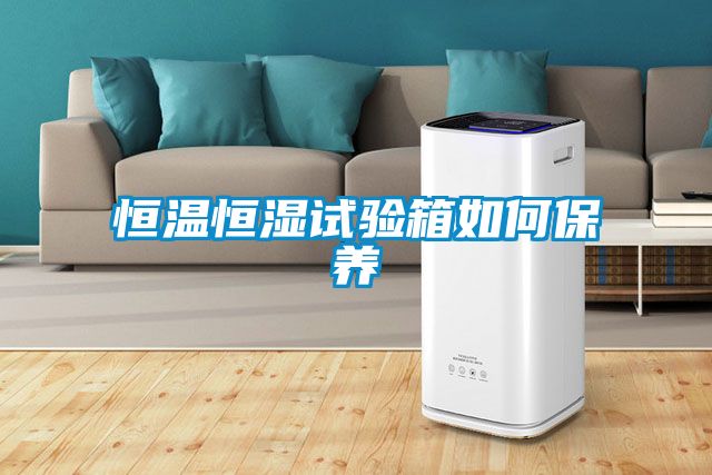 恒溫恒濕試驗箱如何保養