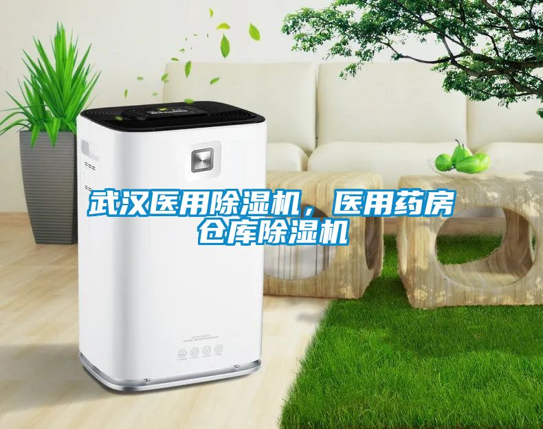 武漢醫用除濕機，醫用藥房倉庫除濕機
