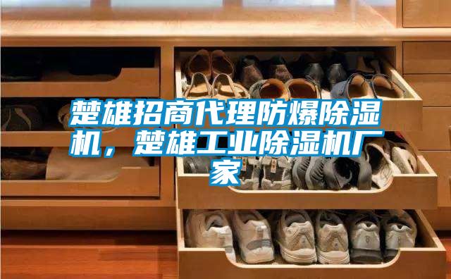楚雄招商代理防爆除濕機，楚雄工業(yè)除濕機廠家