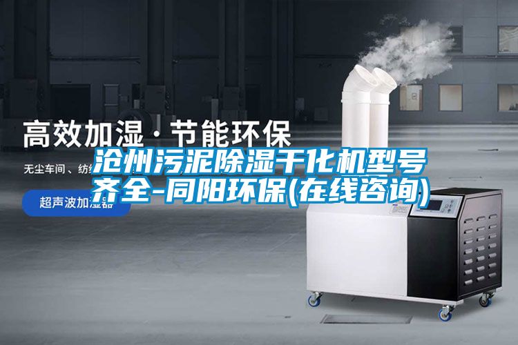 滄州污泥除濕干化機(jī)型號(hào)齊全-同陽(yáng)環(huán)保(在線咨詢)