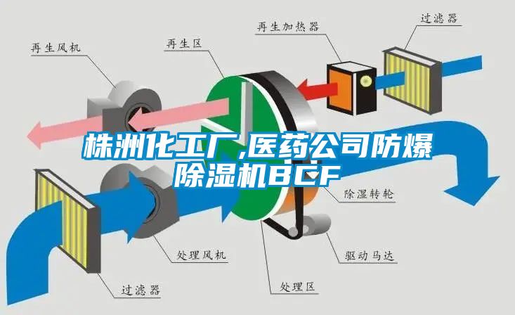 株洲化工廠,醫藥公司防爆除濕機BCF