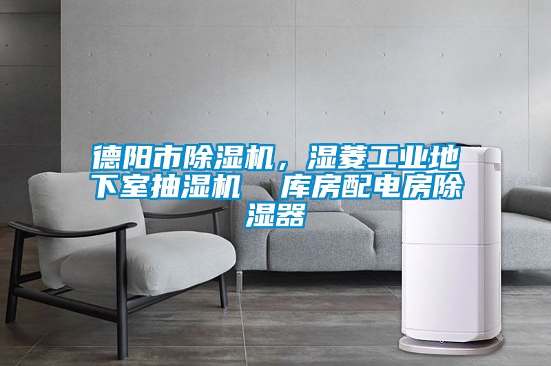 德陽市除濕機，濕菱工業地下室抽濕機  庫房配電房除濕器