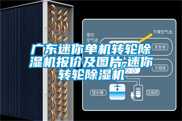 廣東迷你單機轉輪除濕機報價及圖片,迷你轉輪除濕機