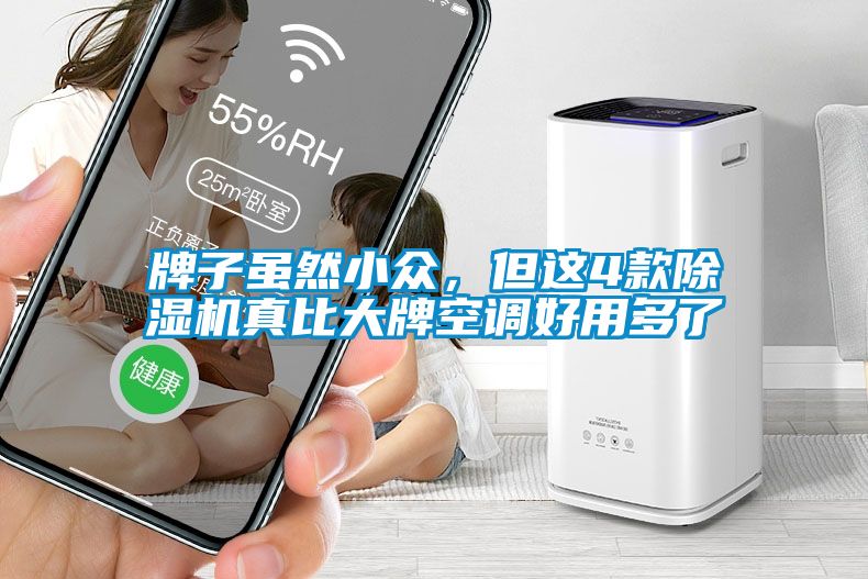 牌子雖然小眾，但這4款除濕機真比大牌空調好用多了