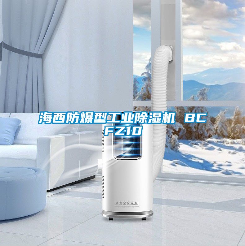 海西防爆型工業除濕機 BCFZ10