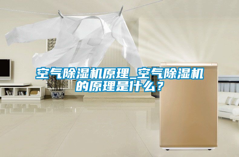空氣除濕機原理_空氣除濕機的原理是什么？