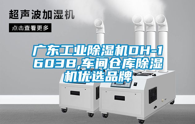 廣東工業(yè)除濕機(jī)DH-1603B,車間倉庫除濕機(jī)優(yōu)選品牌