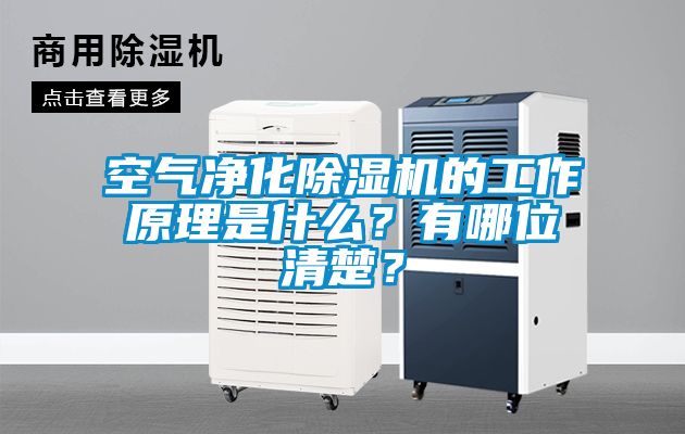 空氣凈化除濕機的工作原理是什么？有哪位清楚？