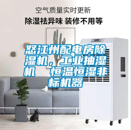 怒江州配電房除濕機(jī)，工業(yè)抽濕機(jī)  恒溫恒濕非標(biāo)機(jī)器