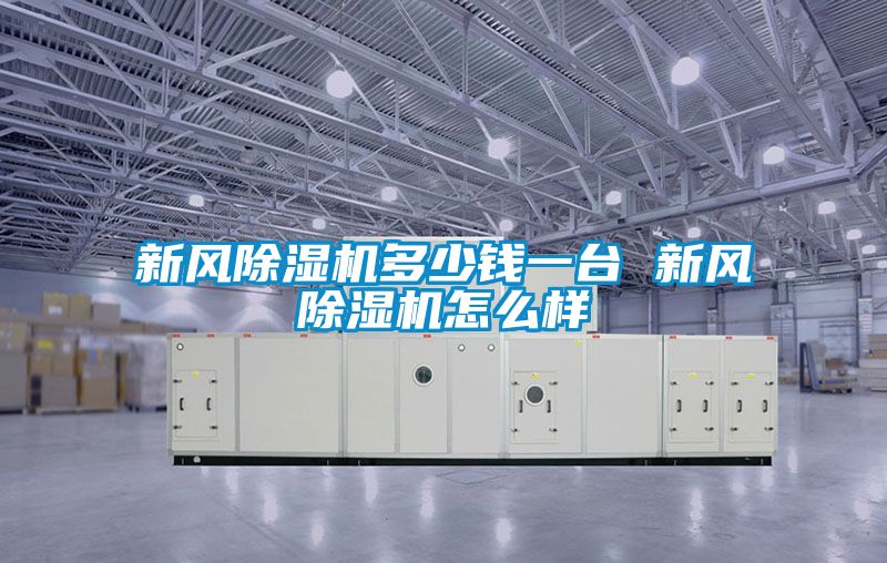 新風除濕機多少錢一臺 新風除濕機怎么樣