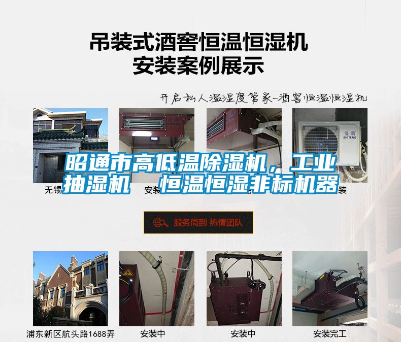 昭通市高低溫除濕機，工業抽濕機  恒溫恒濕非標機器