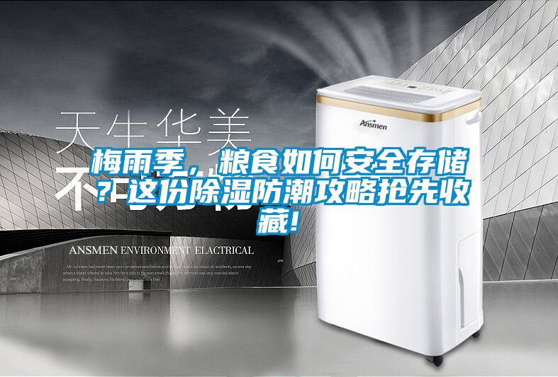 梅雨季，糧食如何安全存儲？這份除濕防潮攻略搶先收藏!
