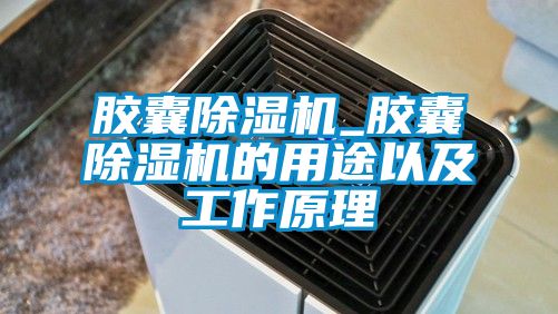 膠囊除濕機_膠囊除濕機的用途以及工作原理