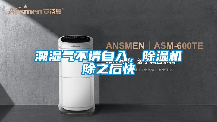 潮濕氣不請自入，除濕機(jī)除之后快