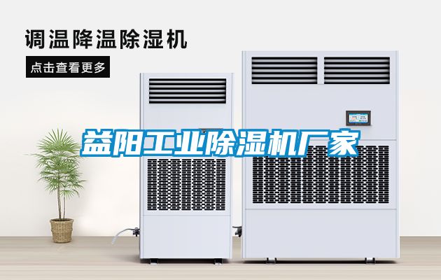 益陽(yáng)工業(yè)除濕機(jī)廠家