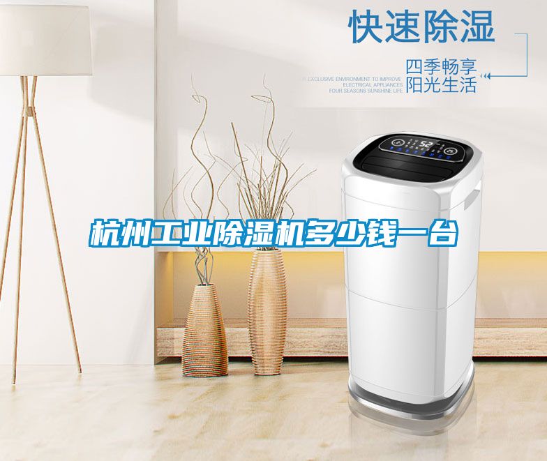 杭州工業(yè)除濕機(jī)多少錢一臺