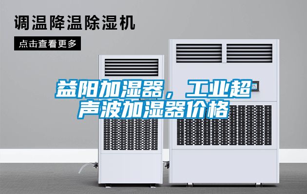 益陽加濕器，工業(yè)超聲波加濕器價格