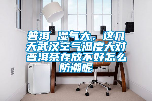 普洱 濕氣大，這幾天武漢空氣濕度大對(duì)普洱茶存放不好怎么防潮呢