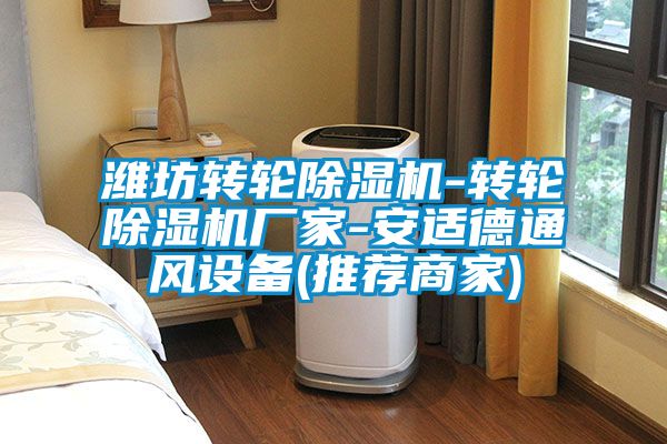 濰坊轉(zhuǎn)輪除濕機-轉(zhuǎn)輪除濕機廠家-安適德通風(fēng)設(shè)備(推薦商家)