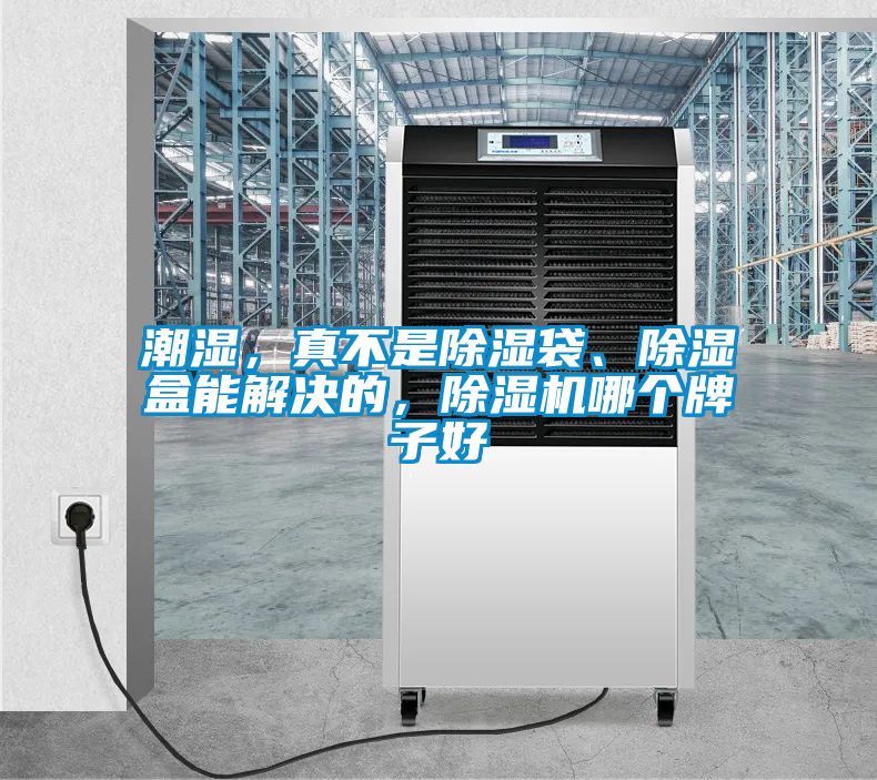 潮濕，真不是除濕袋、除濕盒能解決的，除濕機(jī)哪個牌子好