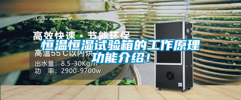 恒溫恒濕試驗箱的工作原理功能介紹！
