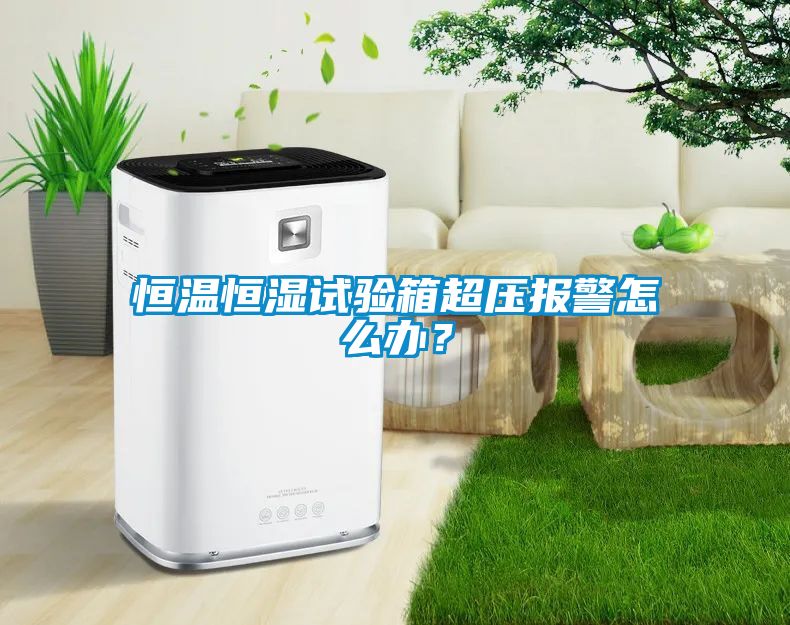 恒溫恒濕試驗(yàn)箱超壓報(bào)警怎么辦？