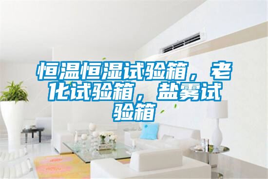 恒溫恒濕試驗箱，老化試驗箱，鹽霧試驗箱
