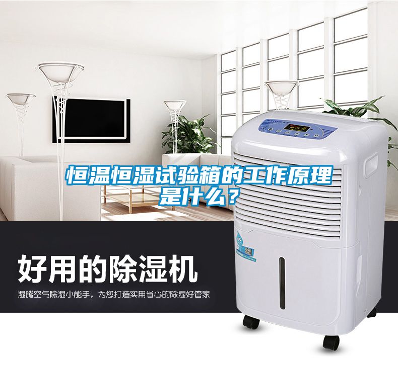 恒溫恒濕試驗箱的工作原理是什么？