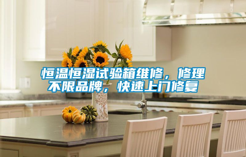 恒溫恒濕試驗箱維修，修理不限品牌，快速上門修復