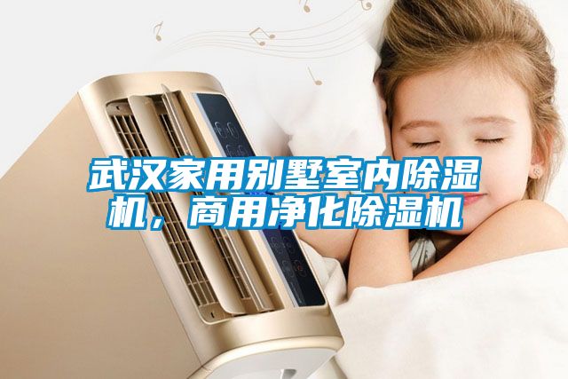 武漢家用別墅室內除濕機，商用凈化除濕機
