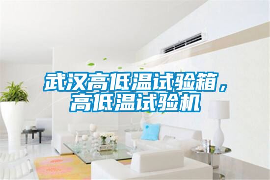 武漢高低溫試驗(yàn)箱，高低溫試驗(yàn)機(jī)