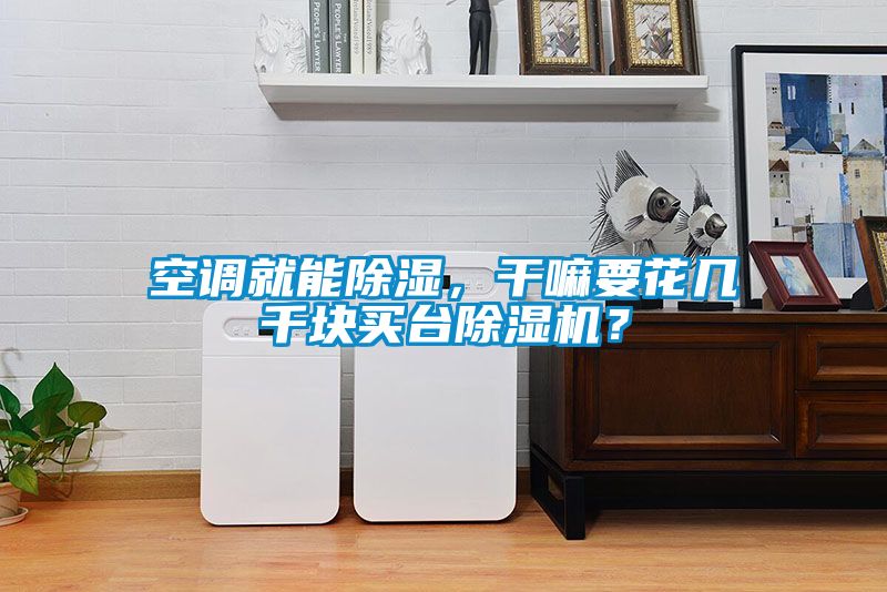 空調就能除濕，干嘛要花幾千塊買臺除濕機？