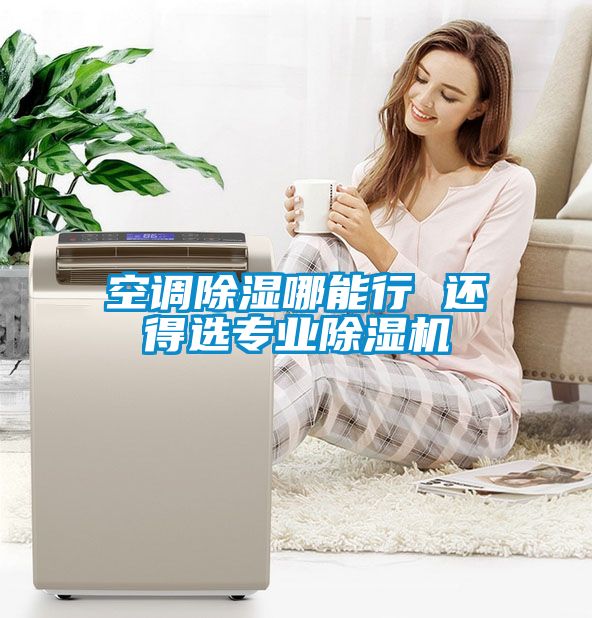 空調(diào)除濕哪能行 還得選專業(yè)除濕機(jī)