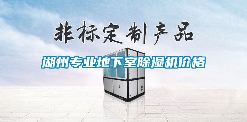 湖州專業地下室除濕機價格