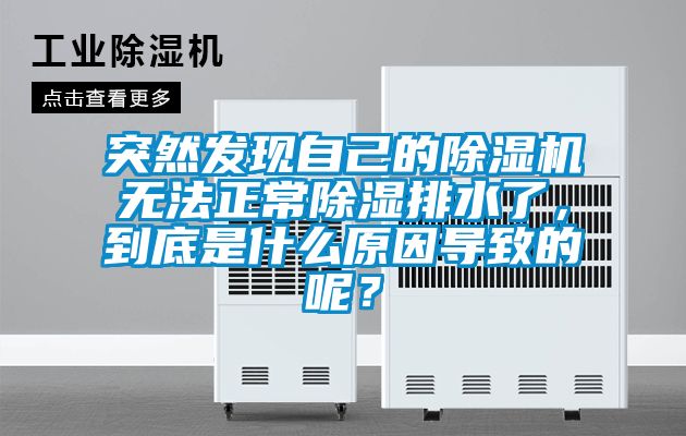 突然發(fā)現(xiàn)自己的除濕機(jī)無(wú)法正常除濕排水了，到底是什么原因?qū)е碌哪兀?/></p>
<p style=