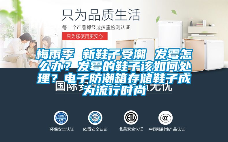 梅雨季 新鞋子受潮 發霉怎么辦？發霉的鞋子該如何處理？電子防潮箱存儲鞋子成為流行時尚