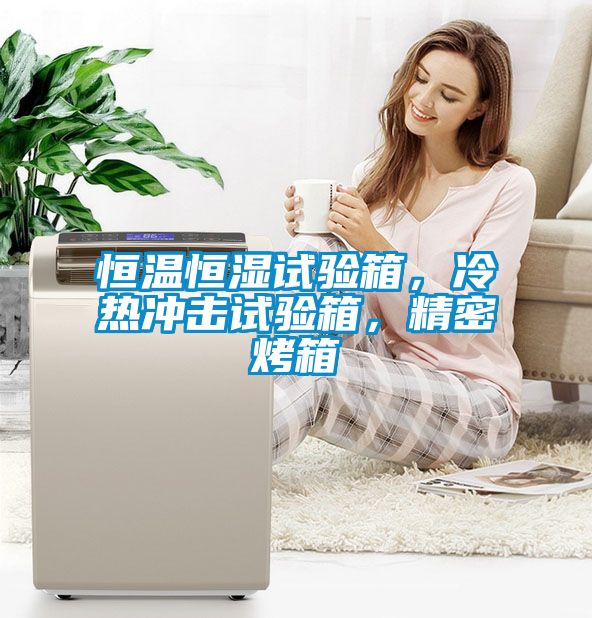 恒溫恒濕試驗箱，冷熱沖擊試驗箱，精密烤箱