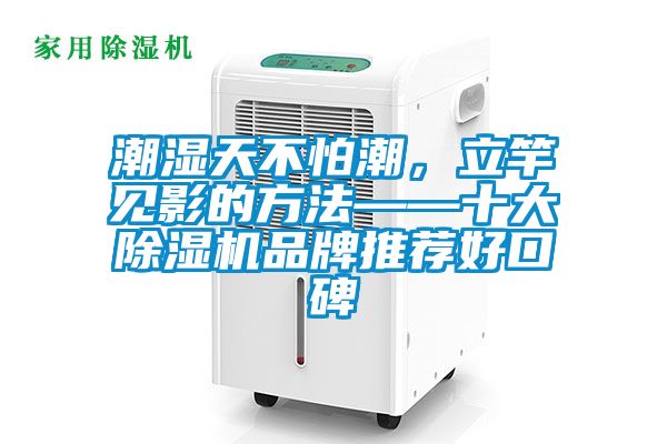 潮濕天不怕潮，立竿見影的方法——十大除濕機品牌推薦好口碑