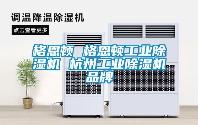 格恩頓 格恩頓工業除濕機 杭州工業除濕機品牌