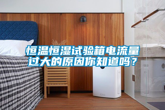 恒溫恒濕試驗箱電流量過大的原因你知道嗎？