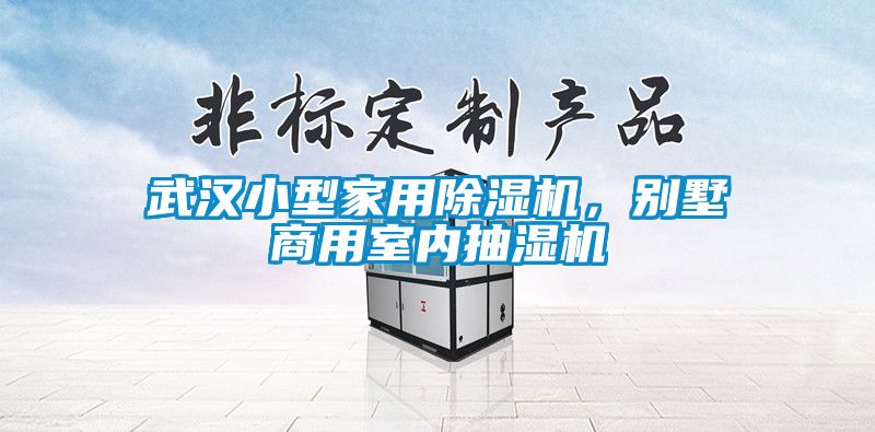 武漢小型家用除濕機(jī)，別墅商用室內(nèi)抽濕機(jī)