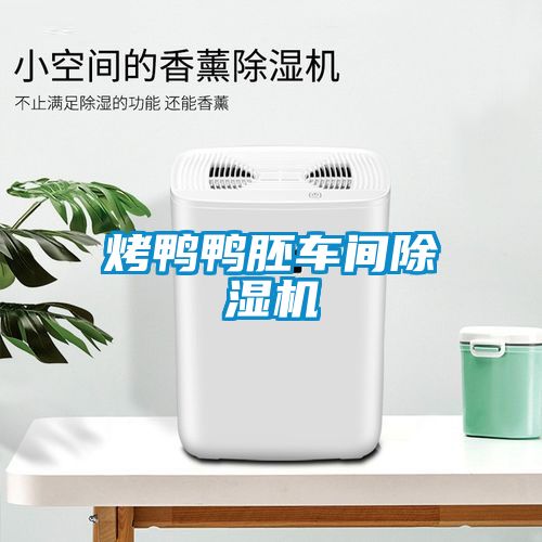 烤鴨鴨胚車間除濕機(jī)