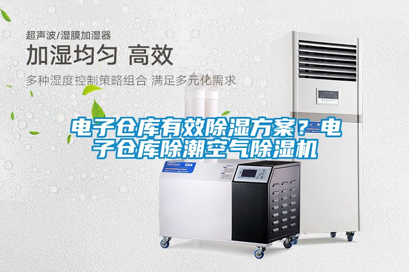 電子倉(cāng)庫(kù)有效除濕方案？電子倉(cāng)庫(kù)除潮空氣除濕機(jī)