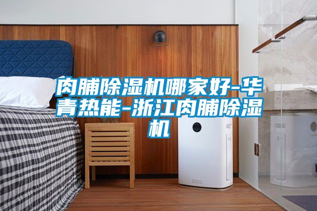 肉脯除濕機哪家好-華青熱能-浙江肉脯除濕機