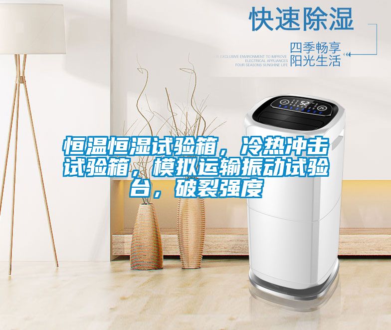 恒溫恒濕試驗箱，冷熱沖擊試驗箱，模擬運輸振動試驗臺，破裂強度