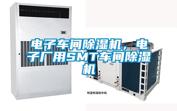 電子車間除濕機(jī)，電子廠用SMT車間除濕機(jī)