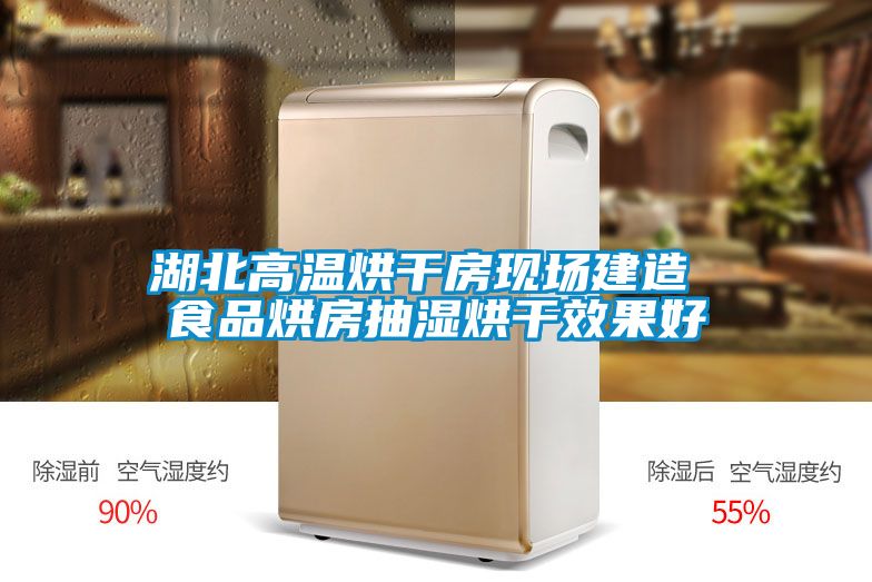 湖北高溫烘干房現(xiàn)場(chǎng)建造 食品烘房抽濕烘干效果好
