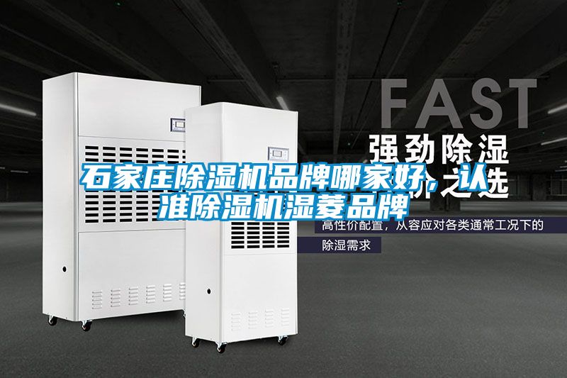 石家莊除濕機品牌哪家好，認準除濕機濕菱品牌